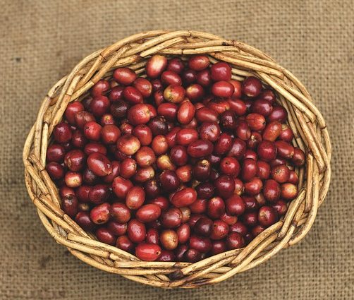 最好的苏门答腊咖啡豆篮