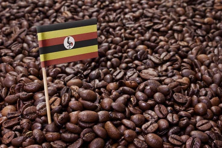 乌干达咖啡