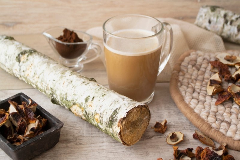 Chagaccino蘑菇咖啡与桦木分支