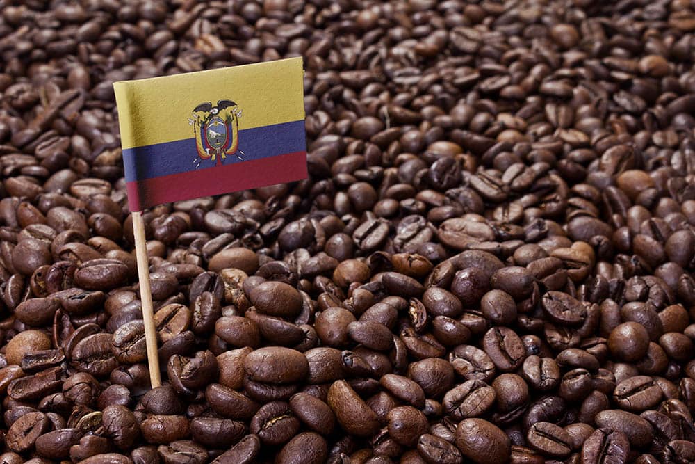 厄瓜多尔咖啡豆