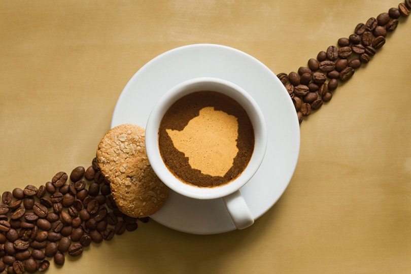 一杯咖啡与津巴布韦地图