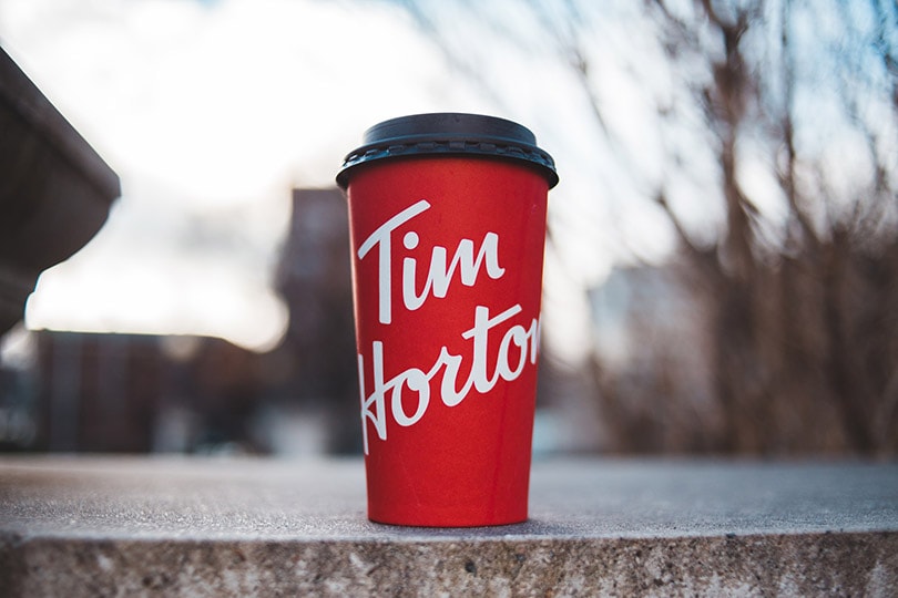 普通的蒂姆·霍顿（Tim Horton）的咖啡